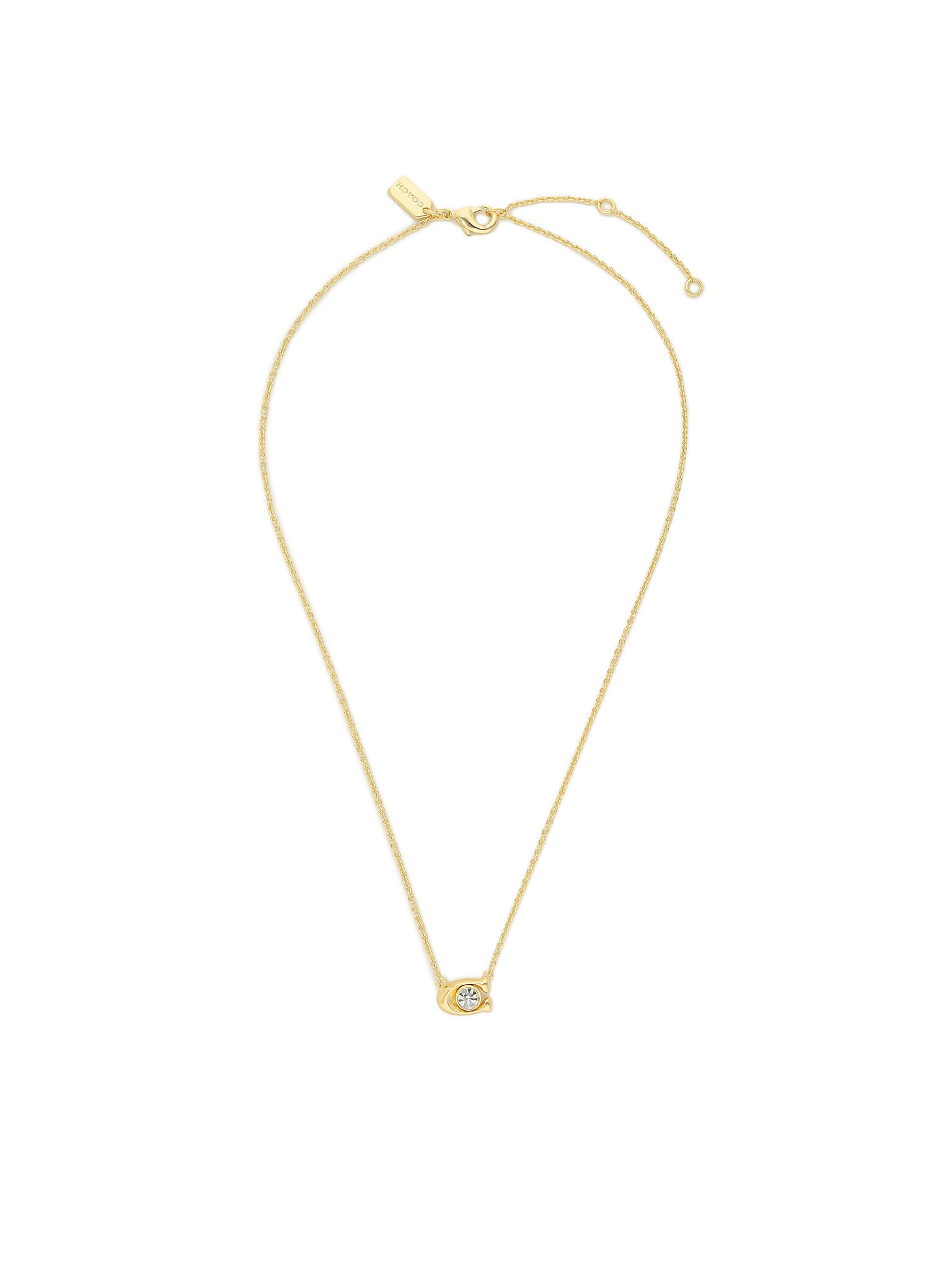 Nyaklánc és fülbevaló szett Coach