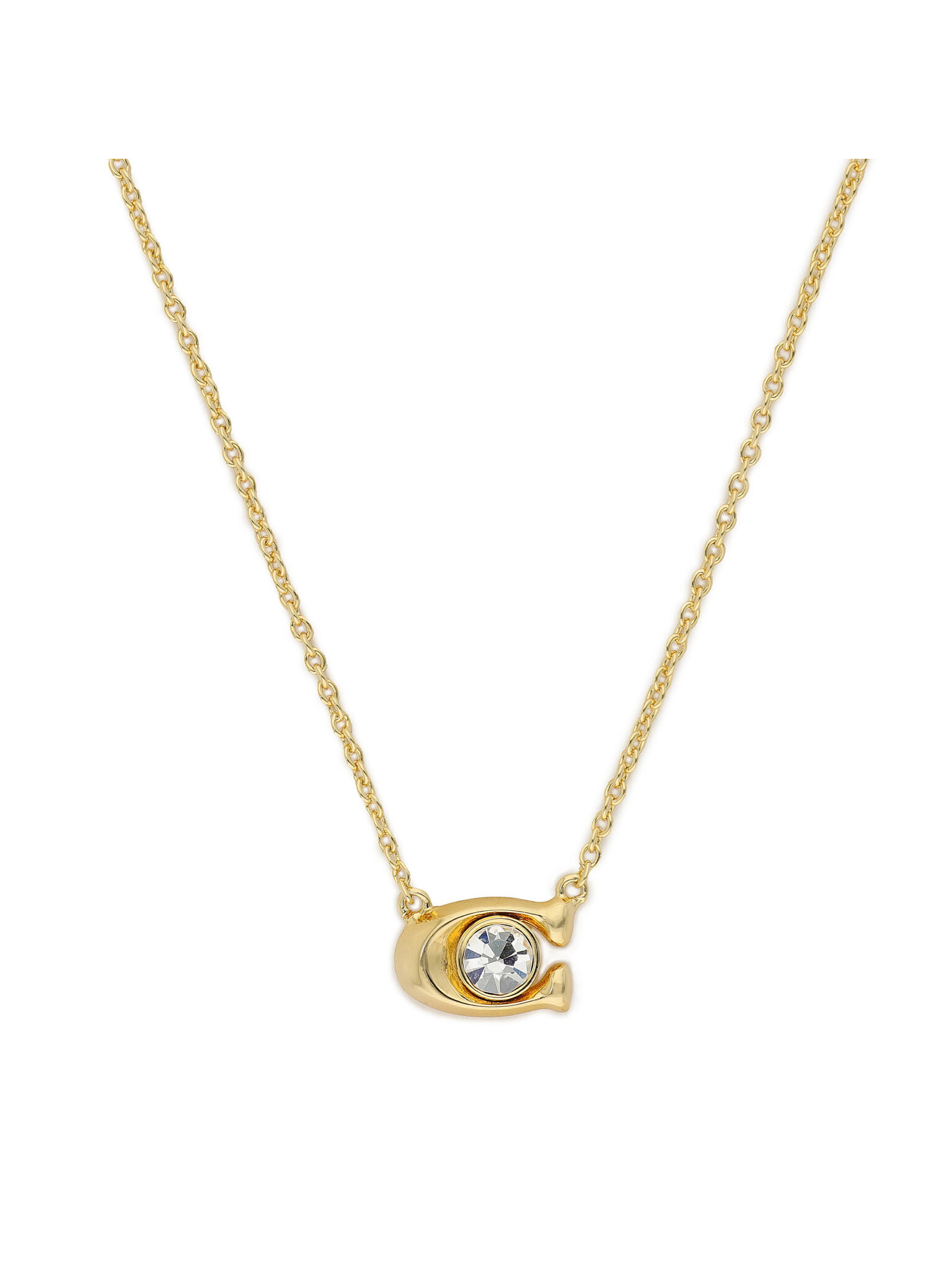 Nyaklánc és fülbevaló szett Coach