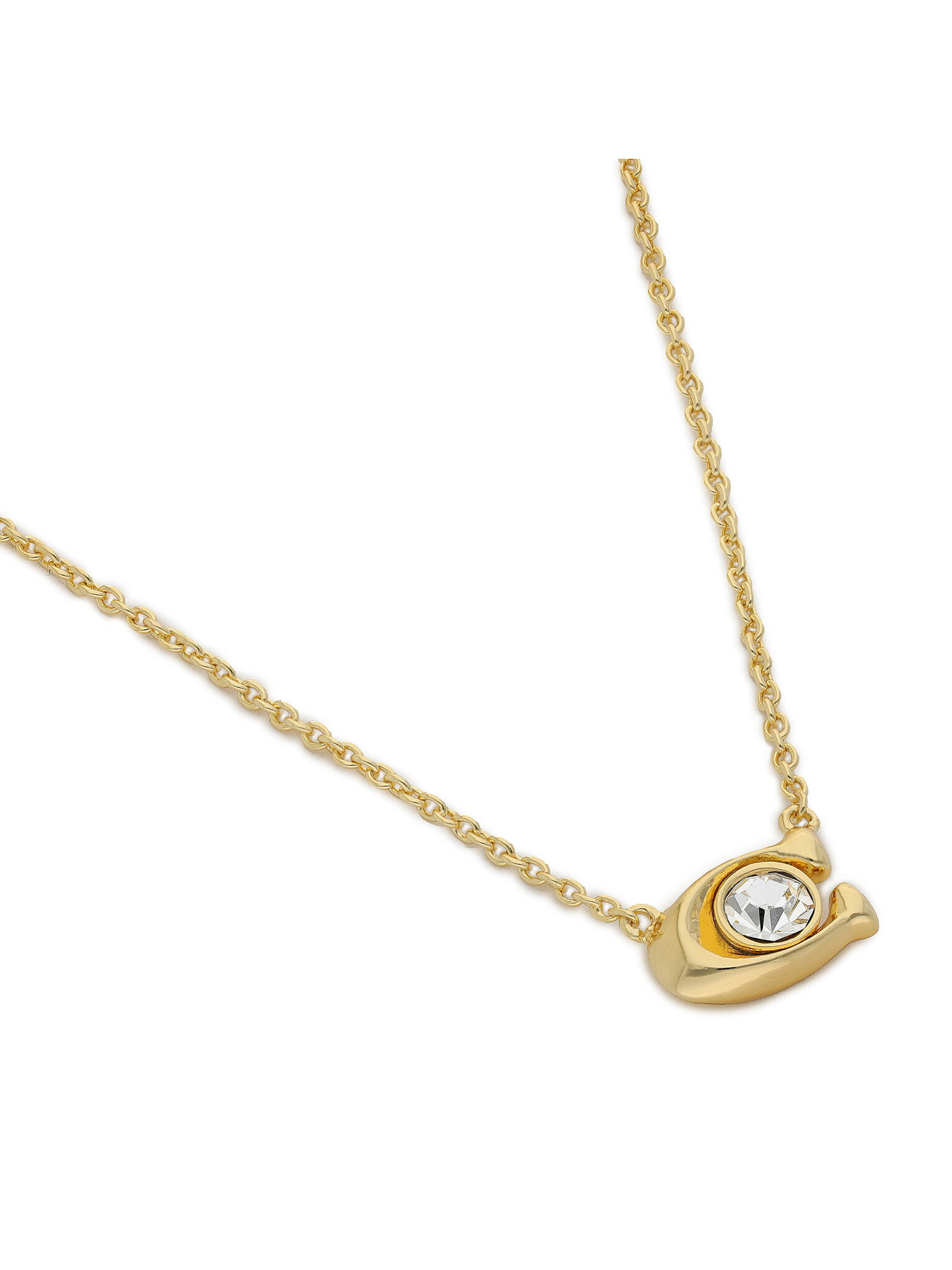 Nyaklánc és fülbevaló szett Coach