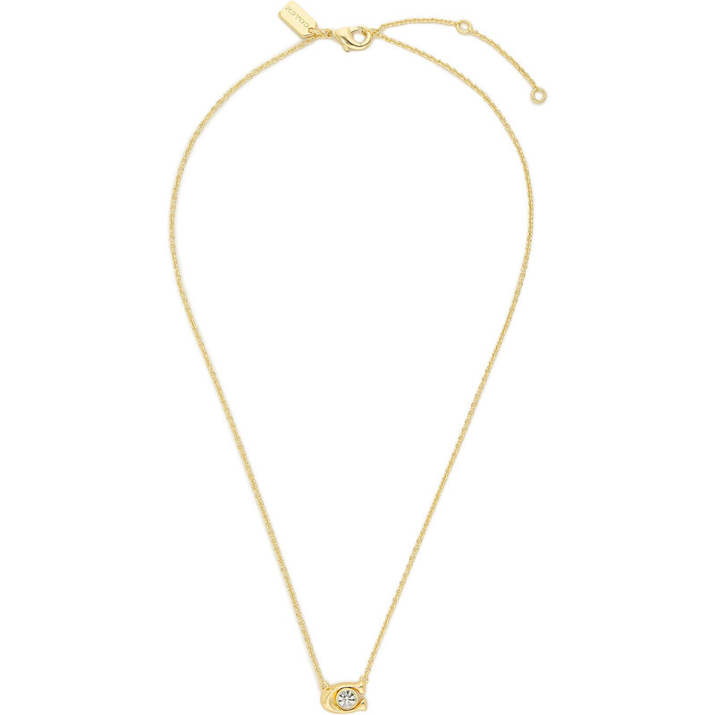 Nyaklánc és fülbevaló szett Coach