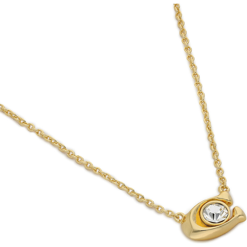 Nyaklánc és fülbevaló szett Coach