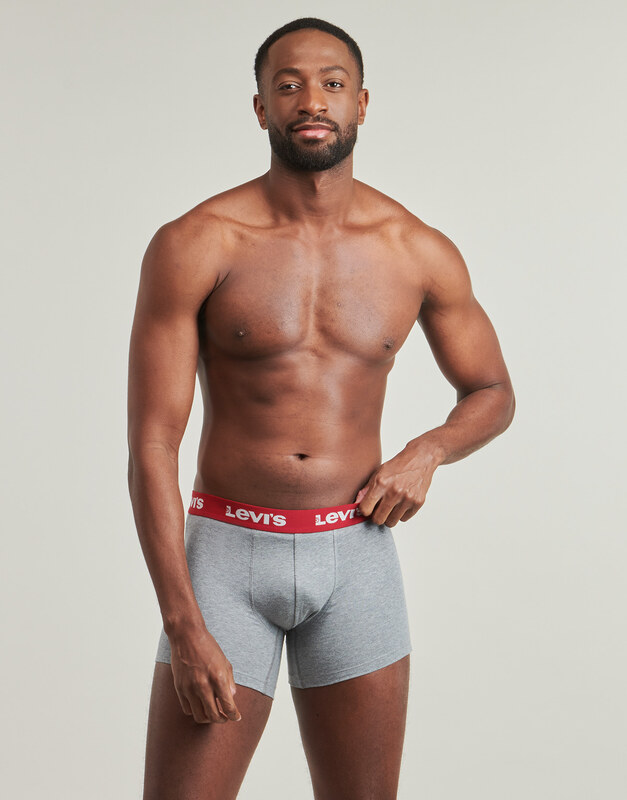 Levis REPEAT LOGO BOXER ECOM Pack de 6
