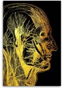 Gario Vászonkép Arany anatómia, oldalsó arc - Gab Fernando Méret: 40 x 60 cm