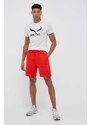 Salewa sportos póló fehér, nyomott mintás