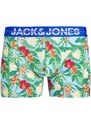 JACK & JONES Boxeralsók 'Pineapple' kék / világoskék / szürke / zöld / világospiros / fehér