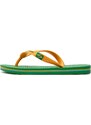 Flip-flops Ipanema