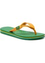 Flip-flops Ipanema