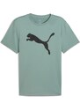 Puma M Tad Essentials Solid Cat Tee (CF big cat) green